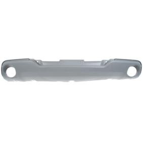 Achetez des Pare-choc BLIC 5510-00-6842903P à prix pour 77,99 €