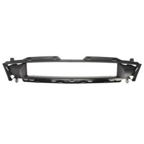 Kühlergrill 5601-00-2563990P