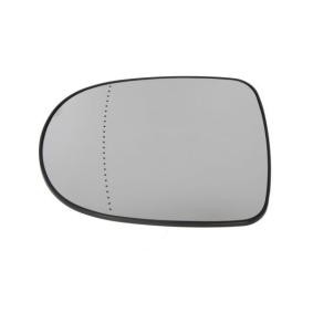 Spiegelglas, Außenspiegel 6102-02-1292243P