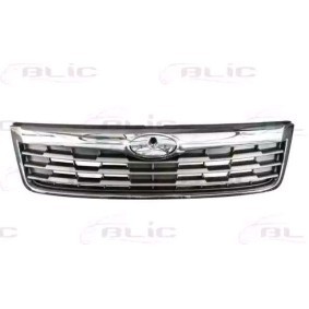 Kühlergrill 6502-07-6737993P