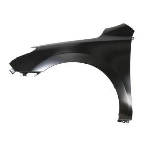 Kotflügel 6504-04-3135313P von BLIC günstig für 47,31 € online kaufen