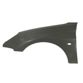 Kotflügel 6504-04-5507315P von BLIC günstig für 55,79 € online kaufen