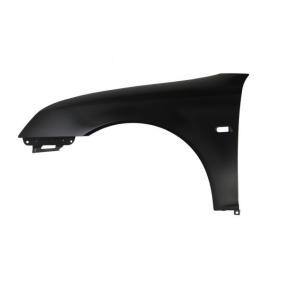 Kotflügel 6504-04-6522313P von BLIC günstig für 63,44 € online kaufen
