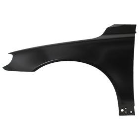 Kotflügel 6504-04-9038311P von BLIC günstig für 57,54 € online kaufen