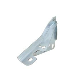 Achetez des Charnière, capot-moteur BLIC 6802-00-5052452P à prix pour 13,14 €
