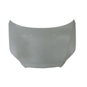 Motorhaube 6803-00-1135282P