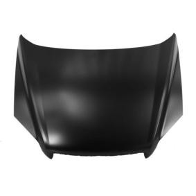 Motorhaube 6803-00-1199280P