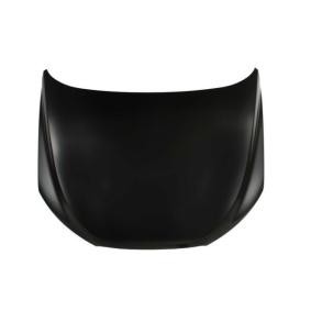 Motorhaube 6803-00-1199281P