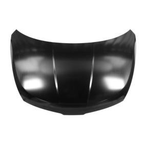 Motorhaube 6803-00-1636280P