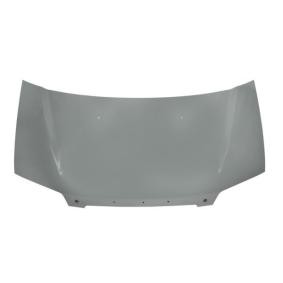 Motorhaube 6803-00-3191280P