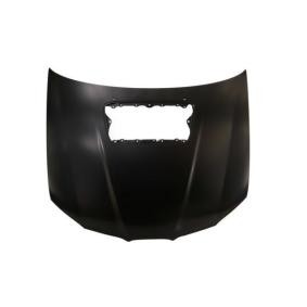 Motorhaube 6803-00-6733281P