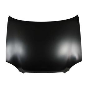 Motorhaube 6803-00-6813281P