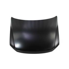 Motorhaube 6803-00-9595280P