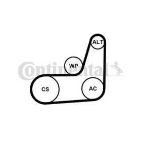 Keilrippenriemensatz 6PK1033 ELAST T1 von CONTITECH günstig für 58,79 € online kaufen