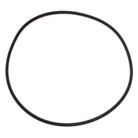 Köp Packning, cylinderfoder av ELRING 743.401 till det låga priset 136,64 kr