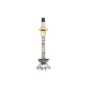 Compre Jogo de apoios, veio de transmissão da PASCAL G8W005PC a um preço baixo por 155,44 €