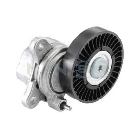 Comprar Polea tensora, correa poli V de SNR GA361.06 a bajo precio de 169,96 €