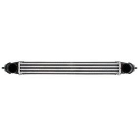 Köp Intercooler av THERMOTEC DAF003TT till det låga priset 1044,16 kr