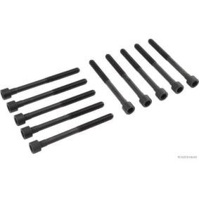 Zylinderkopfschraubensatz J1281050