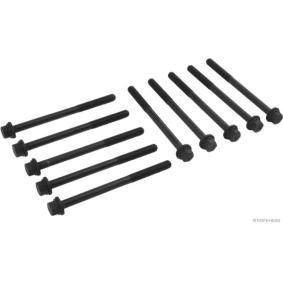 Zylinderkopfschraubensatz J1284008