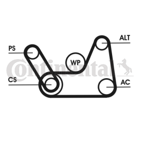 Achetez des Jeu de courroies trapézoïdales à nervures CONTITECH 6PK1145K3 à prix pour 63,46 €