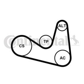 Achetez des Jeu de courroies trapézoïdales à nervures CONTITECH 6PK1180K2 à prix pour 58,24 €