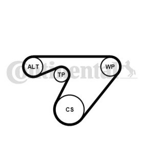 Achetez des Jeu de courroies trapézoïdales à nervures CONTITECH 6PK1180K3 à prix pour 50,81 €