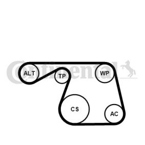 Achetez des Jeu de courroies trapézoïdales à nervures CONTITECH 6PK1310K1 à prix pour 51,90 €