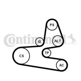 Achetez des Jeu de courroies trapézoïdales à nervures CONTITECH 6PK1564K1 à prix pour 73,61 €