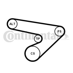 Achetez des Jeu de courroies trapézoïdales à nervures CONTITECH 6PK1725K1 à prix pour 88,32 €