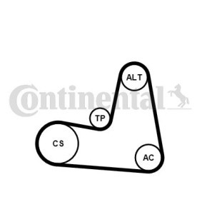 Compre Jogo de correias trapezoidais estriadas da CONTITECH 7PK1125K1 a um preço baixo por 74,88 €