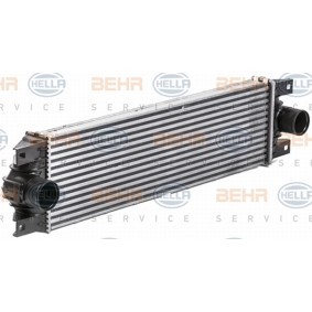 Köp Intercooler av HELLA 8ML 376 700-641 till det låga priset 3482,23 kr