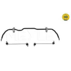 Stabilisator, Fahrwerk 100 653 0009/HD für OCTAVIA (1Z3) für 139,25 CHF