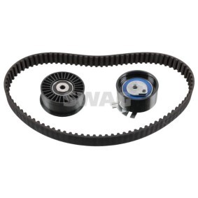 Osta Jakoketjusarja SWAG:llä 99 14 4761 edullisesti hintaan 111,22 €