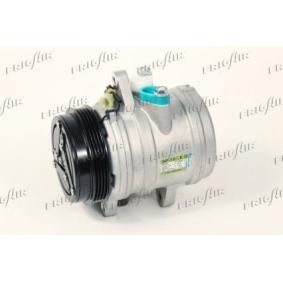 Acquista Compressore aria condizionata da FRIGAIR 920.10830 a buon mercato per soli 344,41 €