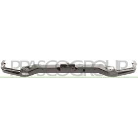 Schlossträger CI4263201 von PRASCO günstig für 136,71 € online kaufen