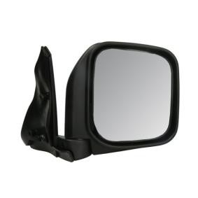 Acquista Specchietto retrovisore esterno da BLIC 5402-04-9992929P a buon mercato per soli 69,45 €