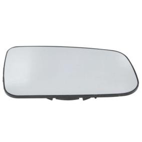 Spiegelglas, Außenspiegel 6102-02-1292311P