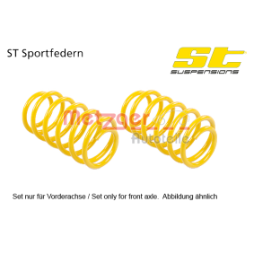Fahrwerksatz, Federn 128280367