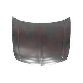 Motorhaube 2582660