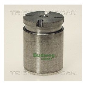 Køb Temperaturkontakt, kølerventilator af TRISCAN 8625 132102 til den lave pris 130,30 DKK