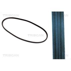 Achetez des Courroie Poly-V TRISCAN 8640 400725 à prix pour 19,10 €