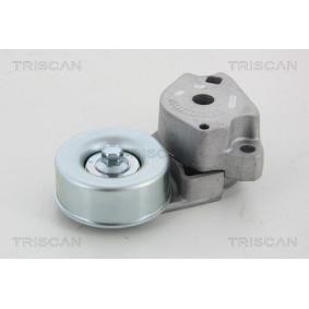 Acquista Tendicinghia, cinghia poly-v da TRISCAN online per L 200 / Triton Camion pianale / Telaio (KA_T, KB_T) a prezzi moderati