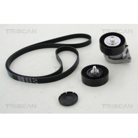 Achetez des Jeu de courroies trapézoïdales à nervures TRISCAN 8642 18001 à prix pour 114,66 €