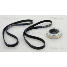 Achetez des Jeu de courroies trapézoïdales à nervures TRISCAN 8642 69001 à prix pour 202,31 €