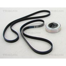 Achetez des Jeu de courroies trapézoïdales à nervures TRISCAN 8642 69002 à prix pour 216,83 €