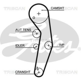 Fahrwerksfeder von TRISCAN