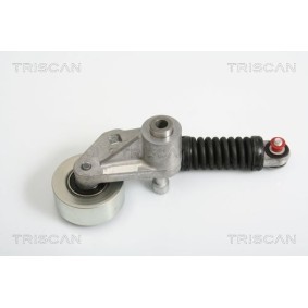 Fahrwerksfeder von TRISCAN 8750 4113