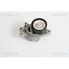 Fahrwerksfeder von TRISCAN 8750 4116