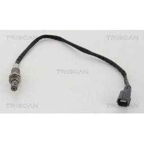 Lambdasonde von TRISCAN